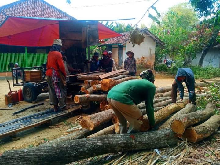 Bisnis Somelan, Alat Pemotong Kayu di Desa Buker 