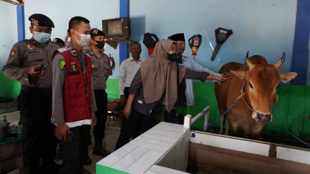Antisipasi PMK Pada Hewan Ternak, Polres Bangkalan Bersama Tiga Pilar Lakukan Pengawasan Ketat