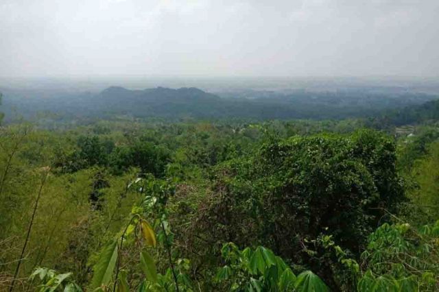 Desa Buker, Panorama Tersembunyi di Sampang Madura