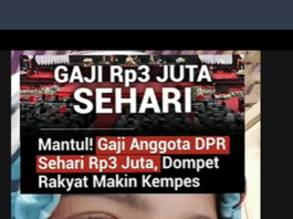 Gaji Anggota DPR RI 2025