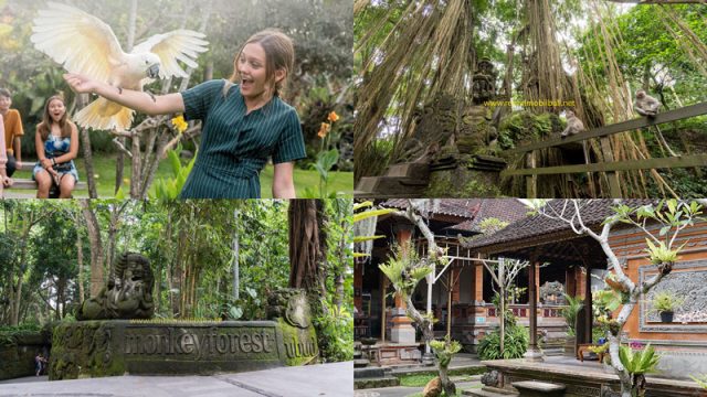 Promo Merdeka 2025: Diskon Liburan Keluarga di Jawa dan Bali!