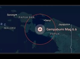 Gempa Nabire M 6.6 Guncang Papua Tengah Warga Panik Berhamburan!