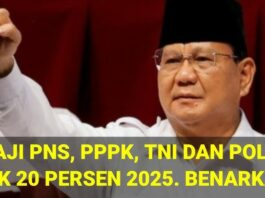 Kenaikan Gaji PNS 2025: Berapa Persen Naik & Kapan Cair Lengkap