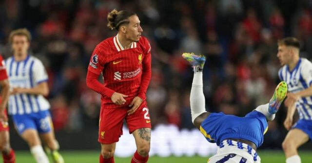 Brighton vs Man City: Kejutan Sensasional The Seagulls