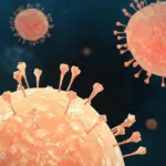 Waspada Ancaman Senyap Virus Nipah: Tingkat Kematian Tinggi dan Potensi Krisis Ekologi Sosial di Indonesia