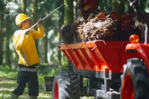 Astra Agro Lestari Catat Kenaikan Laba Bersih 27,8 Persen Sepanjang 2025, Pendapatan Tembus Rp 28,65 Triliun