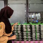 AYAM Perkuat Pasokan Indukan: Impor 580.000 GPS dari AS Dukung Kebutuhan Program Makan Bergizi Gratis