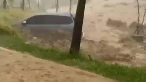 Banjir Bandang Babakan Madang Bogor: Satu Mobil SUV Hanyut Tersapu Arus dan Puluhan Rumah Terdampak