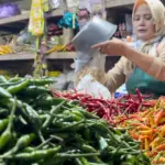 Bapanas Soroti Kenaikan Harga Cabai Rawit Merah Akibat Cuaca Ekstrem dan Kelangkaan Tenaga Petik
