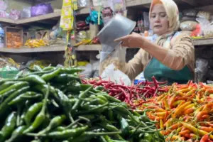 Bapanas Soroti Kenaikan Harga Cabai Rawit Merah Akibat Cuaca Ekstrem dan Kelangkaan Tenaga Petik