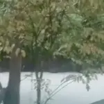 Benyamin Davnie Minta Warga Tangsel Lapor Jika Air Sumur Tercemar Dampak Kebakaran Pabrik Kimia