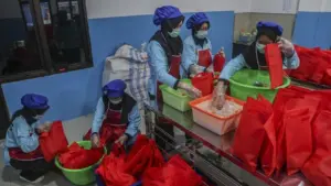 BGN Tetapkan Skema Paket Bundling untuk Distribusi Makan Bergizi Gratis Selama Libur Lebaran 2026