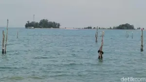 BMKG Rilis Daftar Wilayah Berpotensi Banjir Rob Akibat Fase Bulan Baru Februari 2026