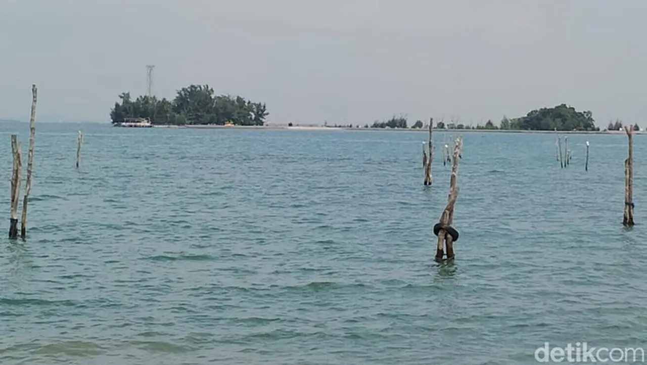 BMKG Rilis Daftar Wilayah Berpotensi Banjir Rob Akibat Fase Bulan Baru Februari 2026