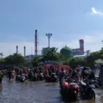 BMKG Soroti Potensi Banjir Rob di Sejumlah Wilayah Pesisir, Waspada Hingga 13 Februari 2026