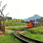 BRI Resmi Buka Pendaftaran Program Desa BRILiaN 2026: Simak Syarat Lengkap dan Cara Daftarnya