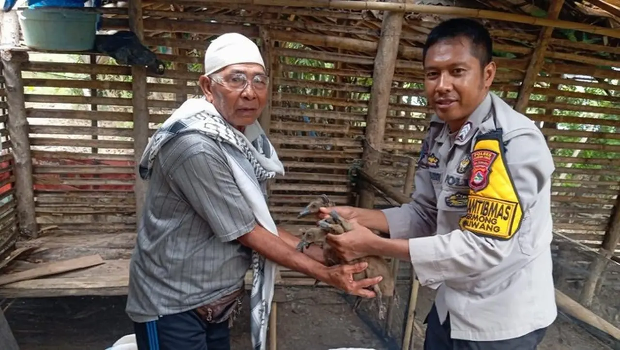 Brigpol Kamaludin Berdayakan Warga Taliwang Sumbawa Barat: Ungkap Strategi Atasi Pengangguran dengan Pertanian dan Peternakan