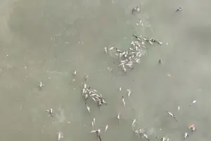 BRIN Ungkap Potensi Pencemaran Kimia Sungai Cisadane Dampak Kebakaran Gudang Pestisida di Tangerang