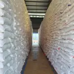 Bulog Ungkap Peluang Besar Ekspor Beras Premium ke Arab Saudi, Gandeng Raksasa Ritel Bin Dawood dan Lulu