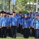 Catat 8 Jurusan Kuliah yang Berpeluang Besar Lolos CPNS 2026 untuk Referensi SNBP dan SNBT