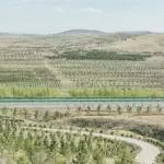 China Ungkap Keberhasilan Transformasi Gurun Taklamakan Menjadi Penyerap Karbon Melalui Miliaran Pohon