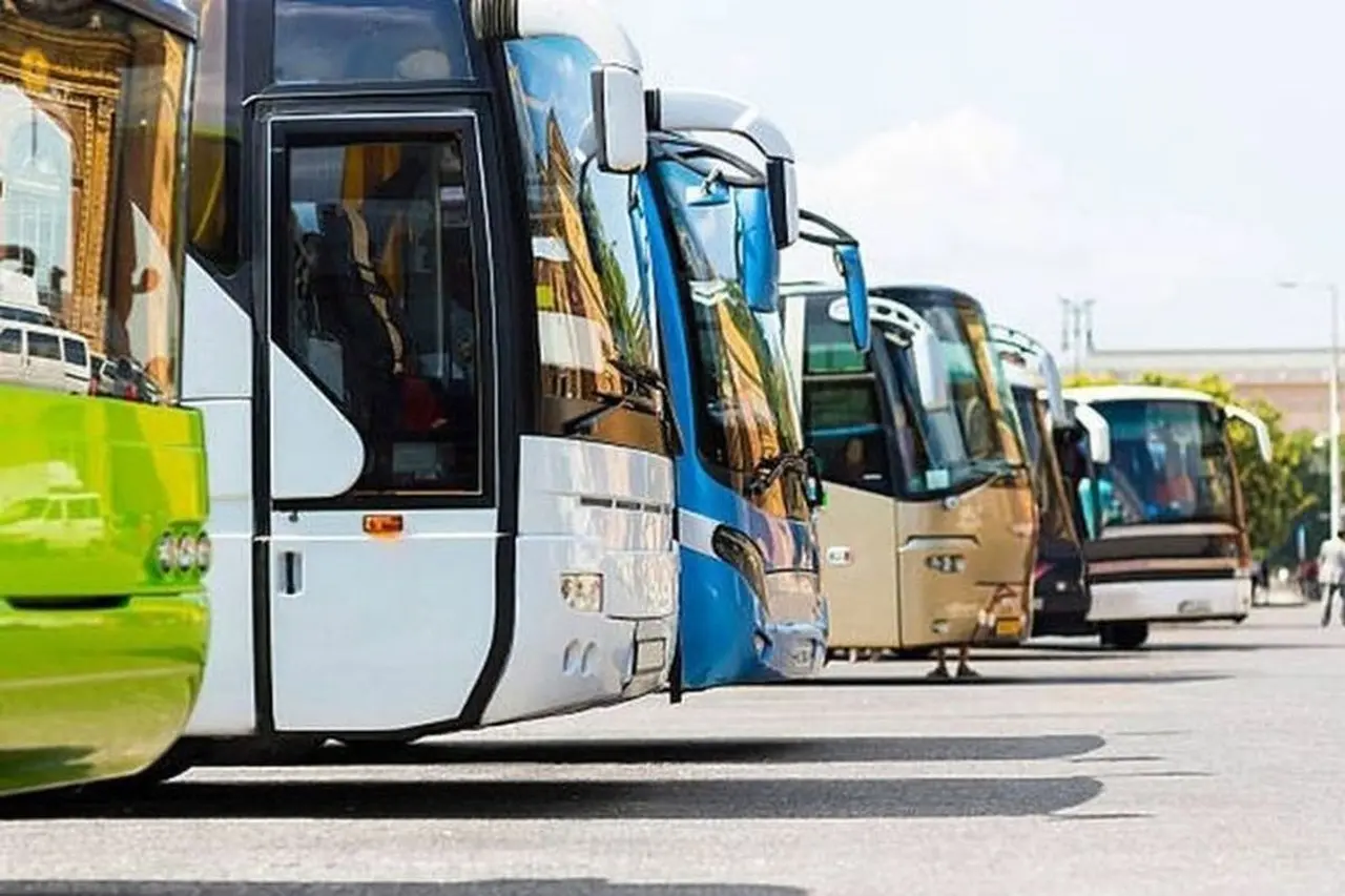 Ditjen Hubdat Rilis Jadwal dan Rute Mudik Gratis Lebaran 2026, Pendaftaran Dibuka 1 Maret