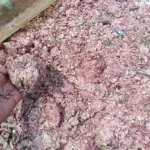 DLH Bekasi Konfirmasi Cacahan Uang Rupiah Asli di TPS Liar, 21 Karung Diamankan Polisi