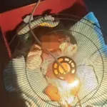 Dokter Spesialis Anak Ingatkan Bahaya Gunakan Lampu Bohlam untuk Tangani Bayi Kuning di Rumah