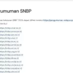 Eduart Wolok Ingatkan Peserta Lolos SNBP 2026 Wajib Daftar Ulang atau Terblokir dari Jalur Mandiri