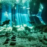 Eksplorasi Terbaru Catat Sistema Ox Bel Ha di Meksiko sebagai Gua Bawah Laut Terpanjang Dunia, Capai 524 Km