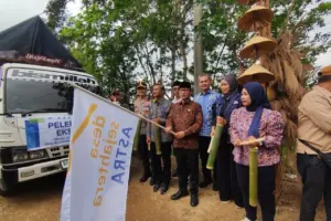 Gula Aren Organik Pacitan Tembus Pasar Belanda dan Australia, Kementan Dorong Hilirisasi Petani