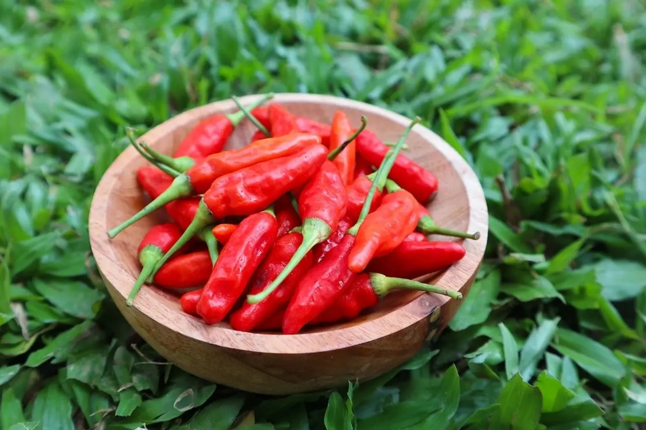 Harga Cabai Rawit Merah di Kepulauan Seribu Melonjak, Bapanas Tekan Biaya Logistik Jelang Ramadan