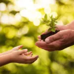 Hong Kong Jadi Opsi Strategis Family Office UHNWI Indonesia Guna Memutus Kutukan Generasi Ketiga