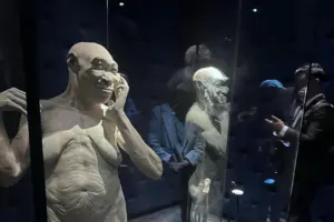 Ilmuwan Temukan Bukti Baru Homo erectus di China Berusia 1,77 Juta Tahun, Lebih Tua dari Dugaan Awal