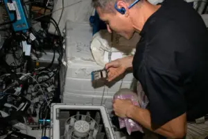 Ilmuwan Ungkap Jamur di ISS Mampu Ekstraksi Logam Platinum dari Meteorit untuk Tambang Luar Angkasa