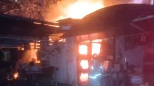 Kebakaran Industri Konveksi di Ciomas Bogor: Api Hanguskan Bangunan Akibat Korsleting Listrik