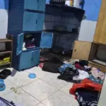 Kekerasan Balita di Surabaya: Paman dan Bibi Ditangkap Usai Beri Makanan Kucing dan Paksa Makan Pasir Kotoran