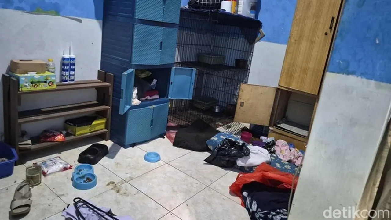 Kekerasan Balita di Surabaya: Paman dan Bibi Ditangkap Usai Beri Makanan Kucing dan Paksa Makan Pasir Kotoran Kekerasan Balita di Surabaya: Paman dan Bibi Ditangkap Usai Beri Makanan Kucing dan Paksa Makan Pasir Kotoran