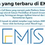 Kemenag Rilis EMIS 4.0 GTK Pengganti Simpatika, Simak Cara Update Data dan Dampaknya Bagi Guru