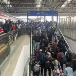 Kemenko Perekonomian Perkuat Perlindungan Sosial Pekerja Informal Melalui Digitalisasi dan BPJS