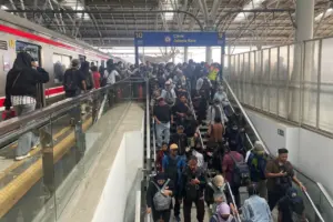 Kemenko Perekonomian Perkuat Perlindungan Sosial Pekerja Informal Melalui Digitalisasi dan BPJS