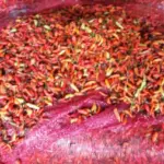 Kementan Guyur 1,7 Ton Cabai Rawit Merah ke PIKJ: Targetkan Harga Stabil di Bawah Rp 65.000/Kg
