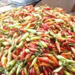 Kementan Ungkap Strategi Stabilkan Harga Cabai Rawit Merah di Pasar Induk Kramat Jati Jelang Ramadan