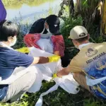 Kepala Desa Banua Baru Ungkap Detik-detik Mengerikan Kakak Beradik Diserang Anjing Liar di Polman