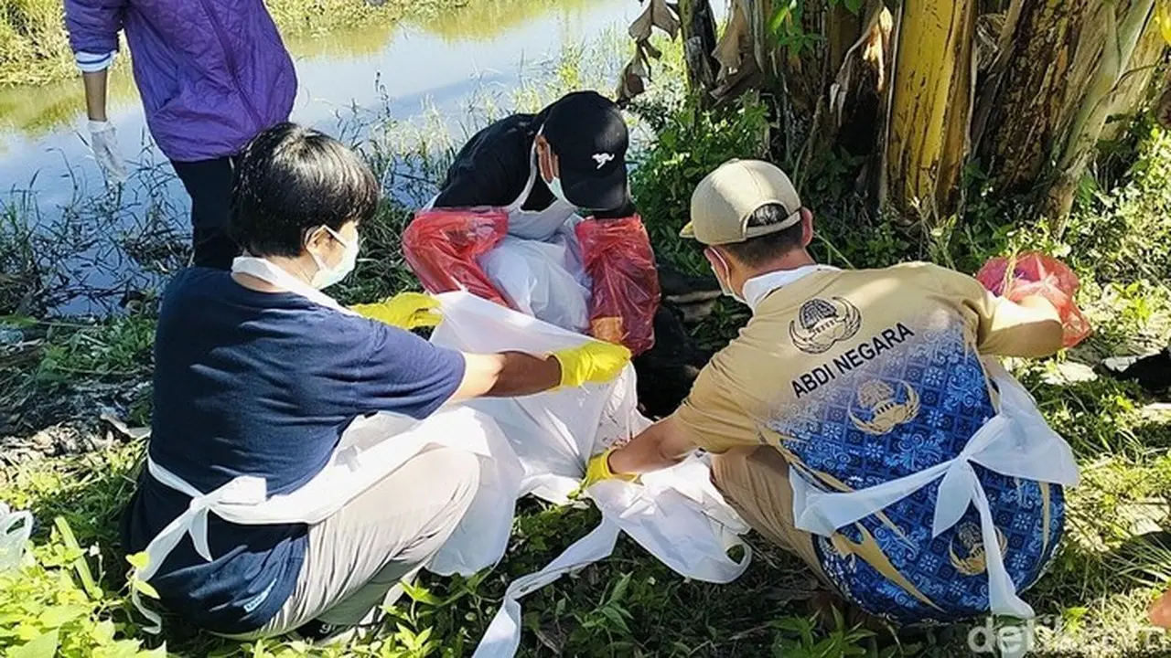 Kepala Desa Banua Baru Ungkap Detik-detik Mengerikan Kakak Beradik Diserang Anjing Liar di Polman Kepala Desa Banua Baru Ungkap Detik-detik Mengerikan Kakak Beradik Diserang Anjing Liar di Polman