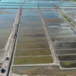 KKP Gandeng Investor Kelola 11.776 Hektar Lahan Tambak Garam di Rote Ndao untuk Kebutuhan Industri