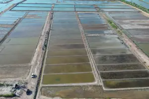 KKP Gandeng Investor Kelola 11.776 Hektar Lahan Tambak Garam di Rote Ndao untuk Kebutuhan Industri