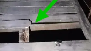 Lurah Pajalesang Ungkap Kronologi Pria di Palopo Tewas Terjatuh dari Jembatan Gantung yang Lapuk