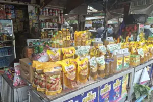 Mendag Budi Santoso Ungkap Penyebab Produsen MinyaKita Rugi di Tengah Kenaikan Harga CPO Dunia