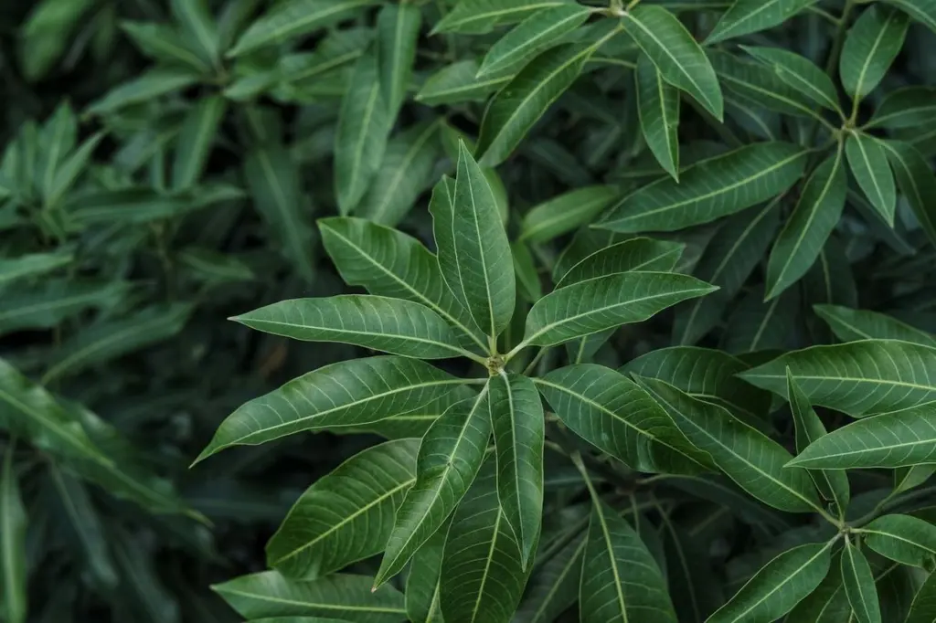 Mengenal Jenis dan Fungsi Fitohormon: Senyawa Organik Pengatur Tumbuh Kembang Tanaman Secara Alami